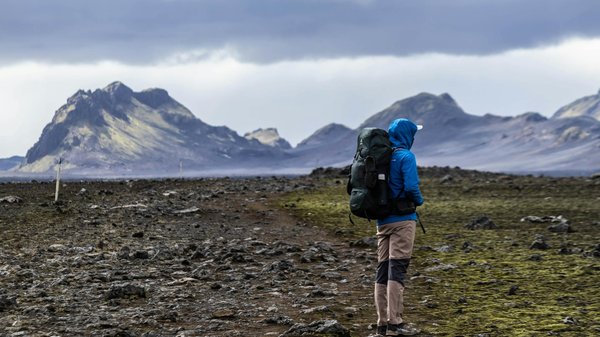 Quels sont les meilleurs itinéraires pour une randonnée en forêt au Japon ?