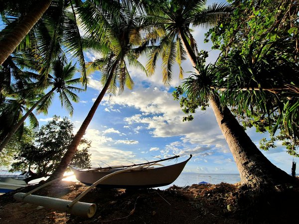 Quels sont les meilleurs itinéraires pour une croisière fluviale sur le Douro, Portugal ?